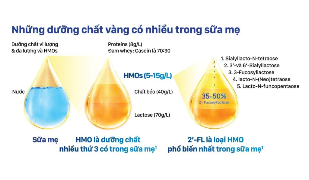 HMO trong sữa công thức Biostime có tốt hay không?