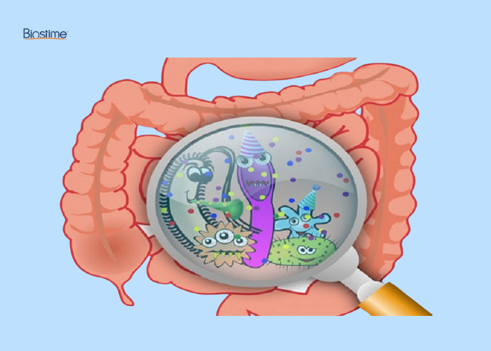 Trẻ bị đi ngoài ra máu: Nguyên nhân và cách xử lý 7 trẻ bị đi ngoài ra máu