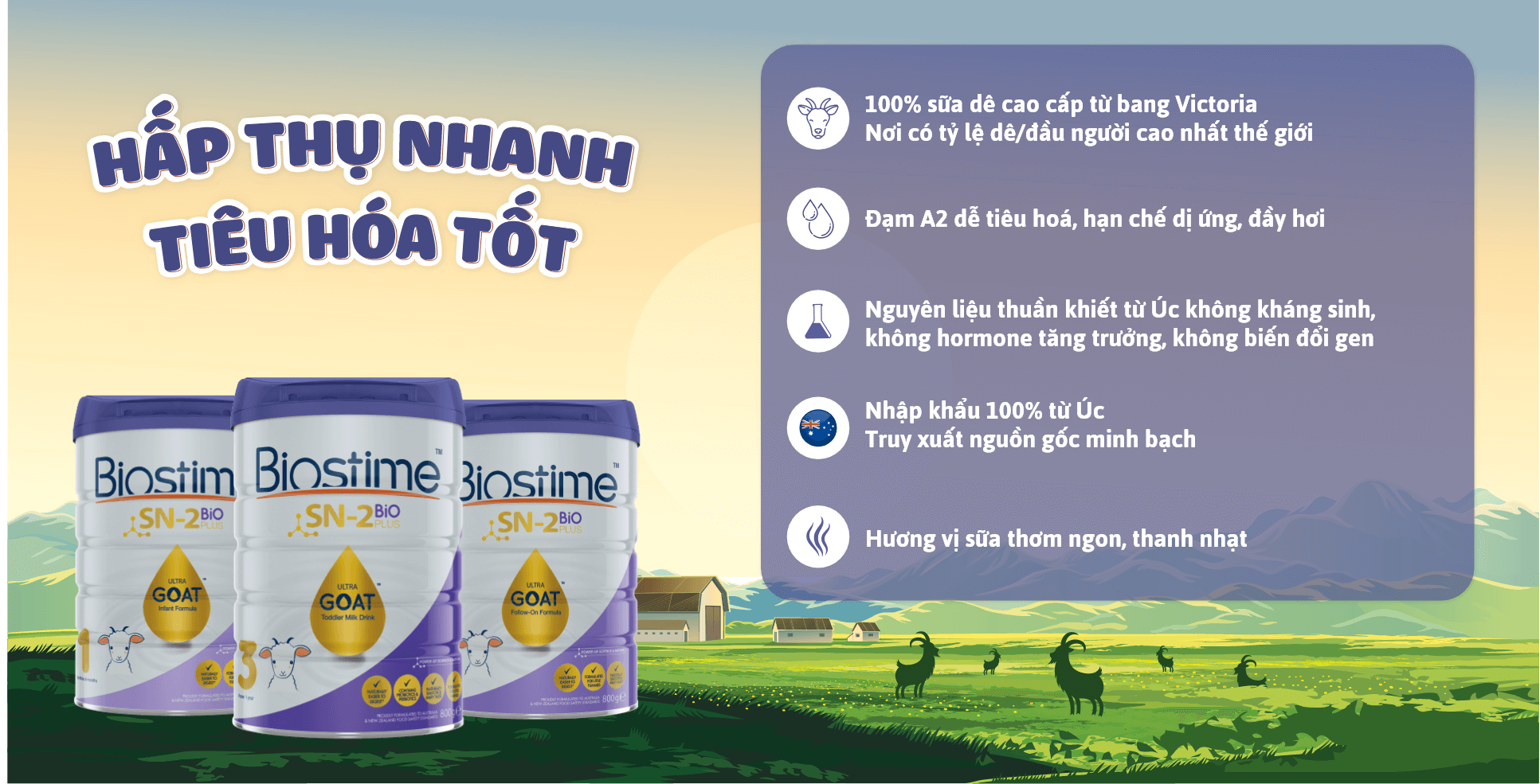 Những loại rau không nên ăn khi cho con bú để tránh mất sữa 25 Hãy để hành trình nuôi con bằng sữa mẹ nhẹ nhàng và khoa học hơn với sự đồng hành từ BIOSTIME SN-2 BIO PLUS ULTRA GOAT lựa chọn thông minh của hàng triệu bà mẹ trên thế giới