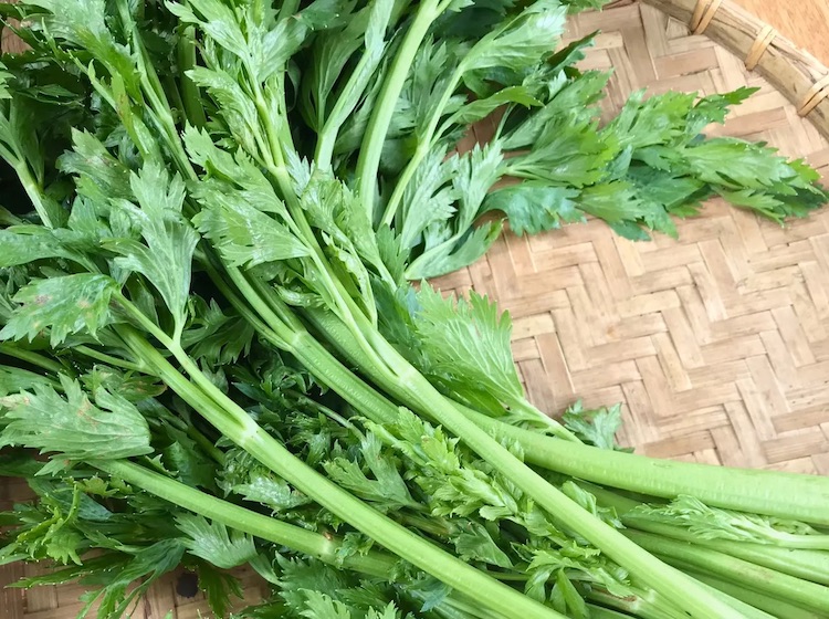 Ăn rau gì để giảm mỡ máu? Top 10 loại rau tốt cho sức khỏe 16 Cần tây có tính mát, các chất dinh dưỡng, hỗ trợ tiêu hóa, giảm mỡ máu hiệu quả