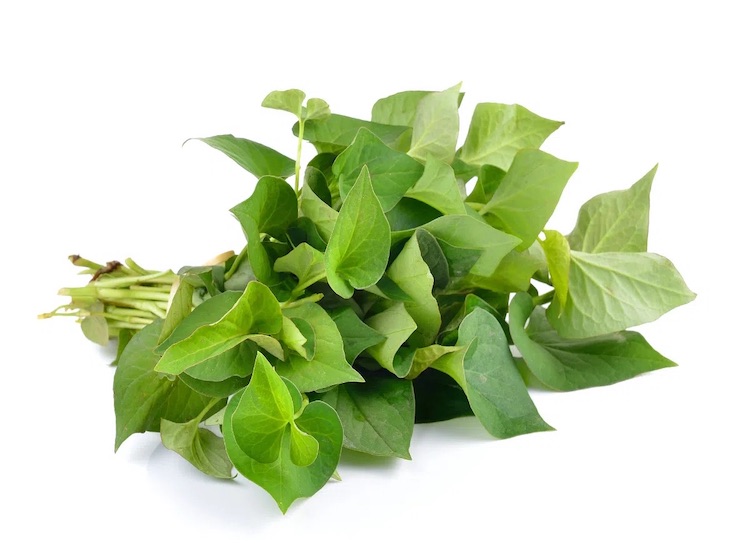 Ăn rau gì để giảm mỡ máu? Top 10 loại rau tốt cho sức khỏe 19 Rau diếp cá giúp giảm mỡ máu nhờ chất xơ hòa tan, saponin, phytosterol và các khoáng chất