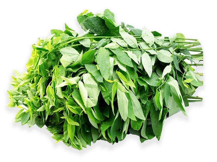 Ăn rau gì để giảm mỡ máu? Top 10 loại rau tốt cho sức khỏe 21 Rau ngót giàu chất xơ, giúp giảm cholesterol xấu, cải thiện sức khỏe tim mạch