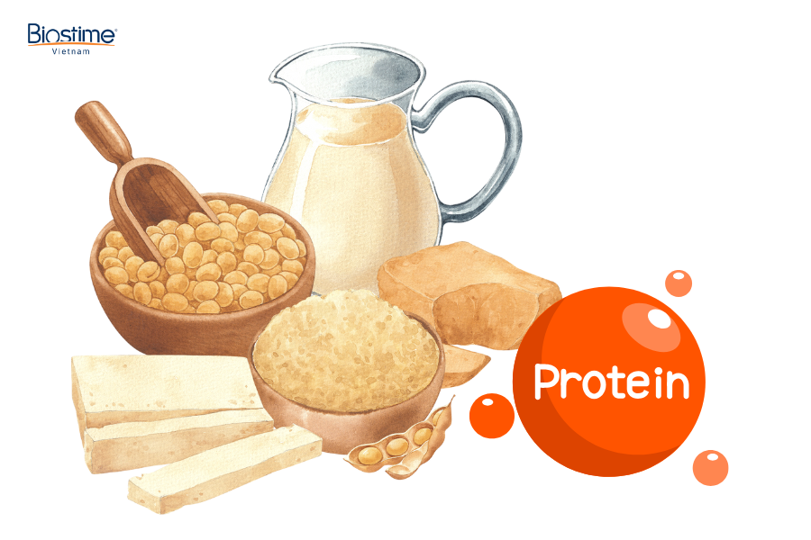 Gợi ý các loại thực phẩm bổ sung protein cho cơ thể hiệu quả 6 Sữa là nguồn protein hoàn chỉnh, cung cấp casein và whey