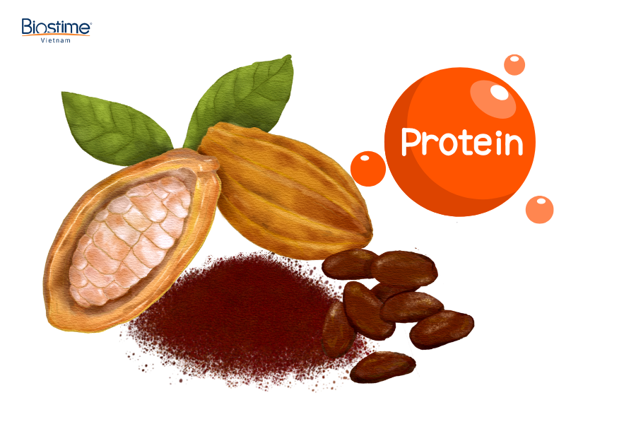 Gợi ý các loại thực phẩm bổ sung protein cho cơ thể hiệu quả 7 Bột cacao nguyên chất có chứa protein