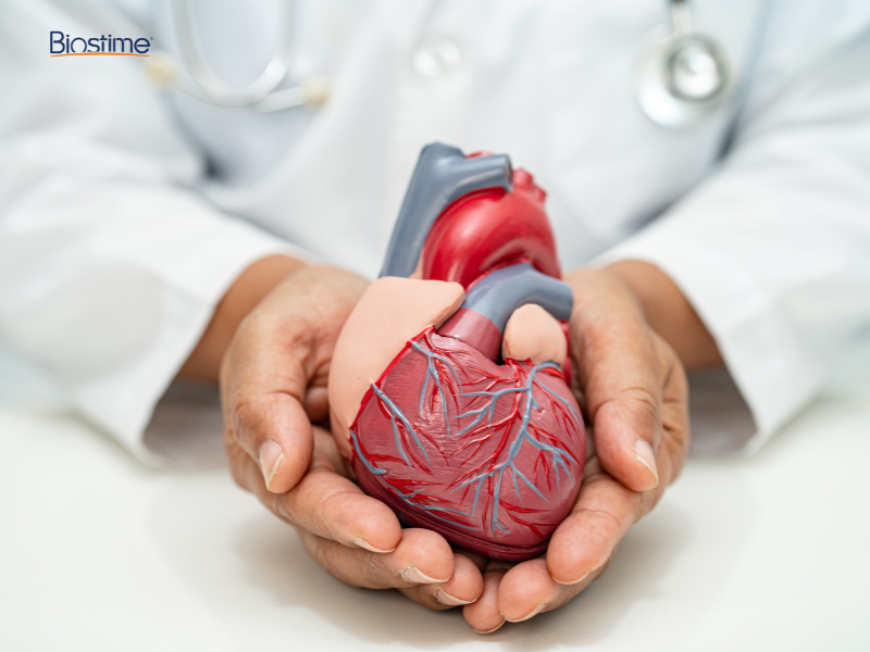 Giải đáp: Lượng cholesterol trong máu bao nhiêu là bình thường? 7 Cholesterol là thành phần thiết yếu trong cơ thể, nhưng mất cân bằng giữa LDL và HDL có thể gây hại cho tim mạch