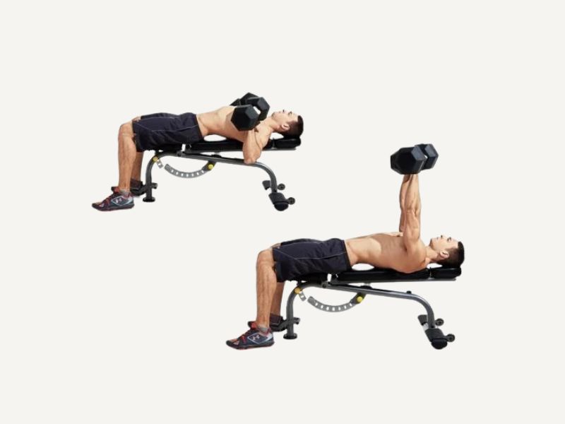 Tăng sinh mô cơ vòng 1 là gì? Gợi ý các bài tập hiệu quả 13 Đẩy ngực với tạ tay giúp phát triển cơ ngực giữa, giúp vòng 1 nở đều và săn chắc