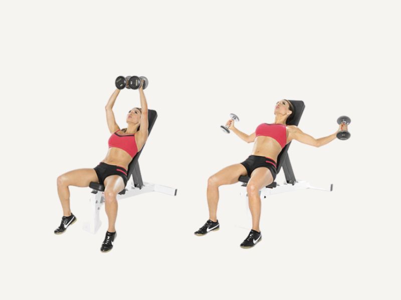 Tăng sinh mô cơ vòng 1 là gì? Gợi ý các bài tập hiệu quả 14 Ép ngực với tạ giúp ngực tròn, tăng độ rộng vòng 1
