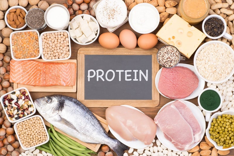 1 ngày cần bổ sung bao nhiêu protein để hoạt động hiệu quả? 4 Nạp vừa đủ protein giúp đảm bảo sự phát triển của cả thể chất và trí tuệ
