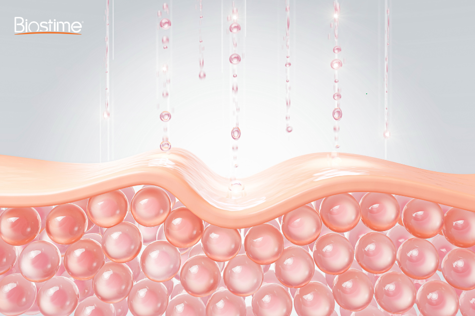 Bổ sung collagen bao nhiêu là đủ để da đẹp và chậm lão hóa? 6 Bổ sung collagen giúp da căng bóng hơn