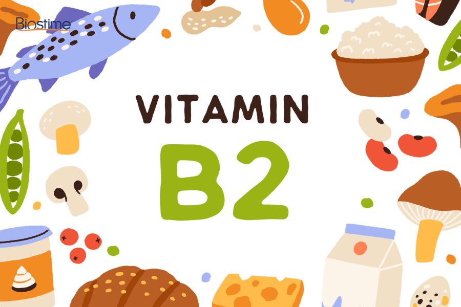 Tổng hợp 10 loại thực phẩm bổ sung vitamin B2 tốt cho sức khỏe 6 Bổ sung vitamin B2 đúng cách là yếu tố then chốt giúp cơ thể duy trì quá trình trao đổi chất