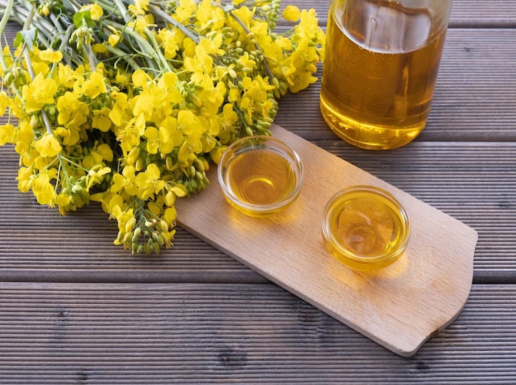Chất béo thực vật là gì? Cách tận dụng có lợi cho sức khỏe 9 Dầu hạt cải giàu vitamin E, giúp bảo vệ tế bào và được dùng đa dạng trong nấu ăn lẫn chăm sóc cơ thể