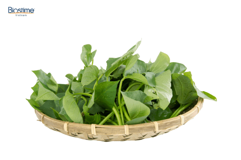 Các công dụng của rau lang mang tới lợi ích gì cho sức khỏe?