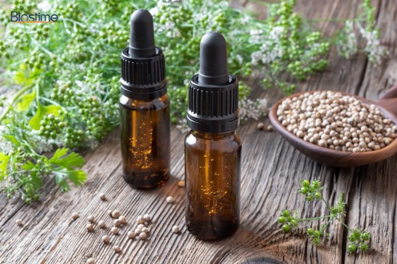 Công dụng của rau mùi đối với sức khỏe và cách sử dụng