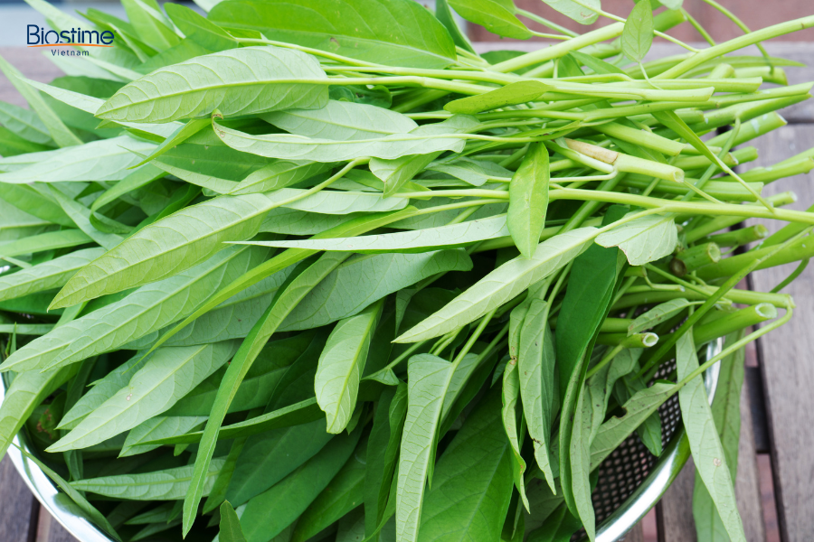 Rau muống cung cấp chất xơ cho hệ tiêu hóa