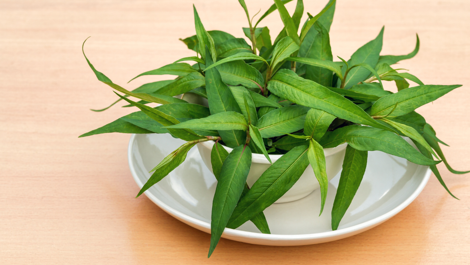 Khám phá công dụng của rau răm và những điều bạn chưa biết 4 Rau răm là bài thuốc chữa được nhiều bệnh khác nhau