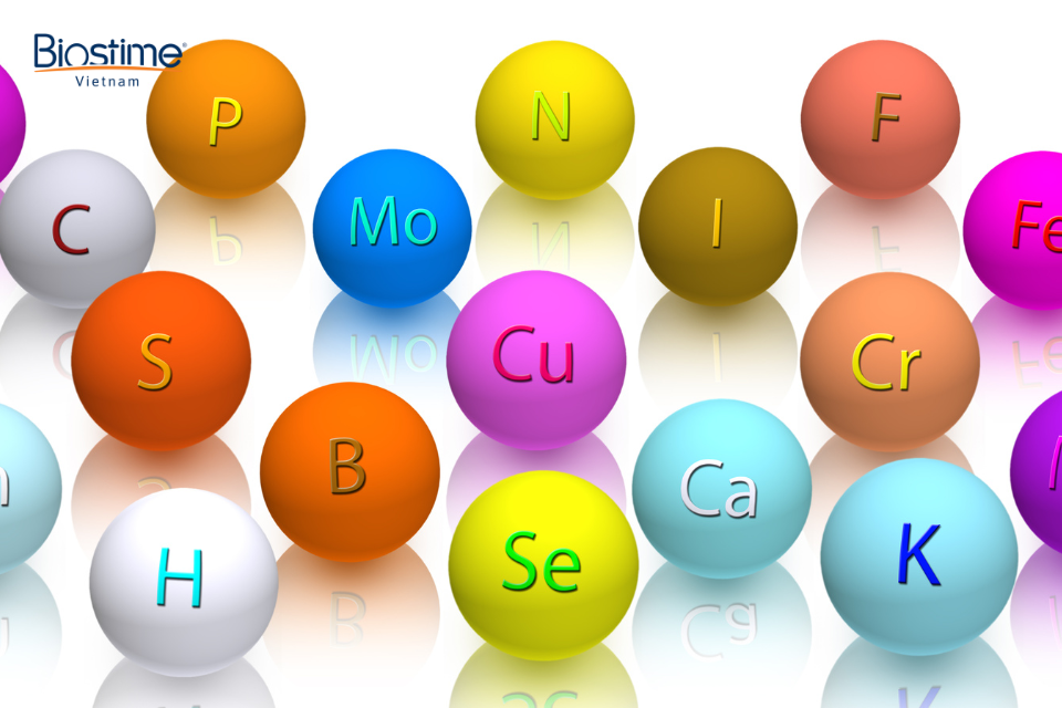 Công dụng của rau tầm bóp và các bài thuốc tốt cho sức khỏe 8 Trong rau tầm bóp có nhiều chất dinh dưỡng có lợi cho sức khỏe