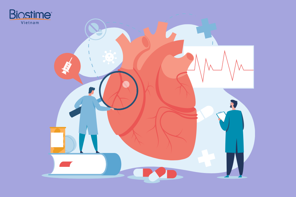 Công dụng của rau tầm bóp và các bài thuốc tốt cho sức khỏe 9 Tầm bóp sẽ hỗ trợ làm tăng cường sức khỏe tim mạch