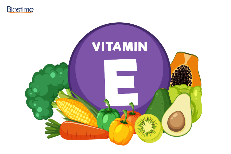 Các thực phẩm bổ sung vitamin E tăng cường sức khỏe toàn diện 7 Vitamin E giúp cơ thể chống lại quá trình lão hóa